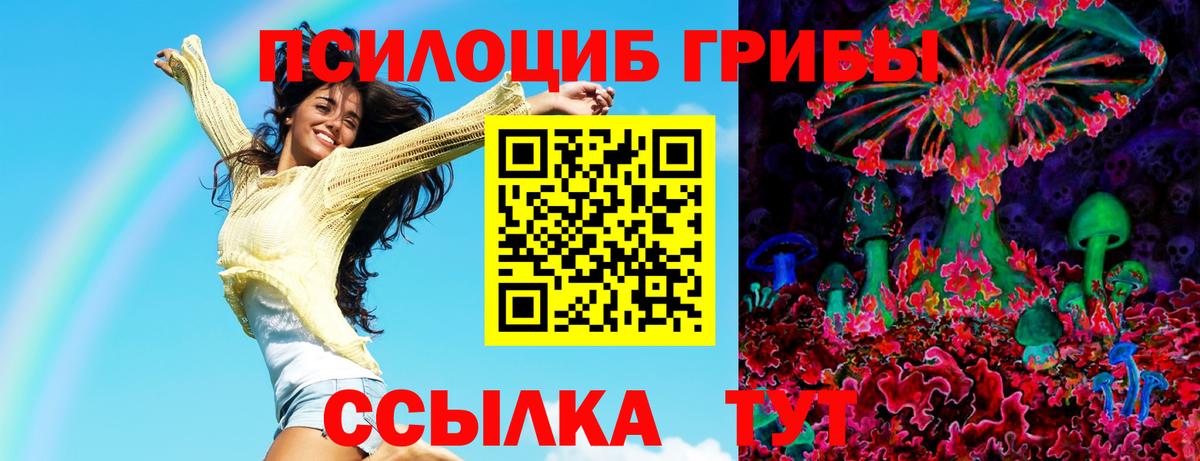 Псилоцибиновые грибы MAGIC MUSHROOMS  Вход с VPN  Торжок  Псилоцибиновые грибы прущие грибы 
